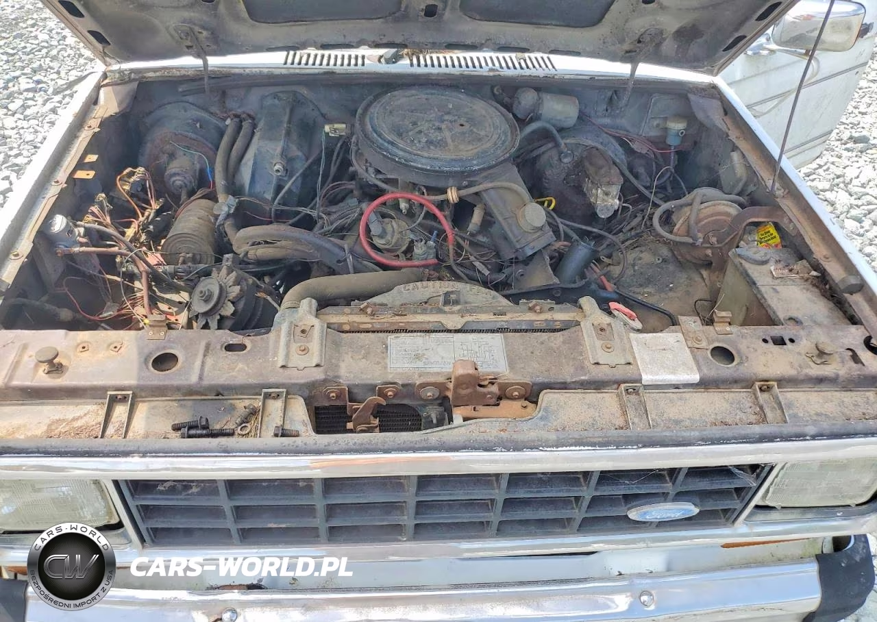 1984 Ford Bronco Ii VIN:1FMCU14S9EUB36447 - 12