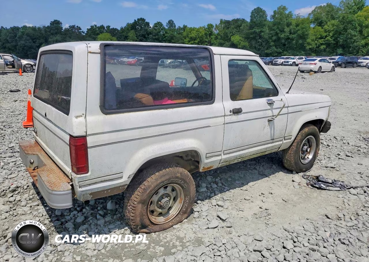1984 Ford Bronco Ii VIN:1FMCU14S9EUB36447 - 3