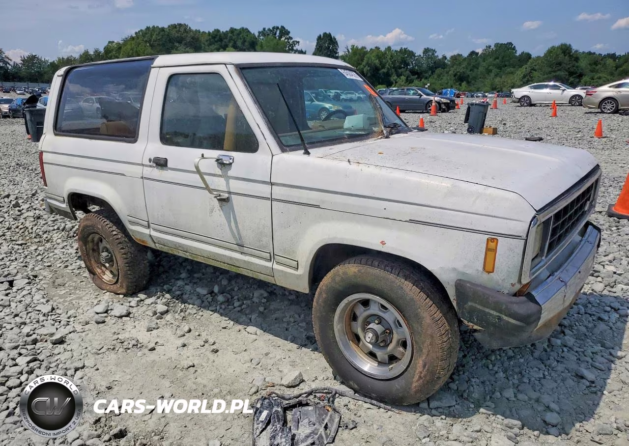 1984 Ford Bronco Ii VIN:1FMCU14S9EUB36447 - 4