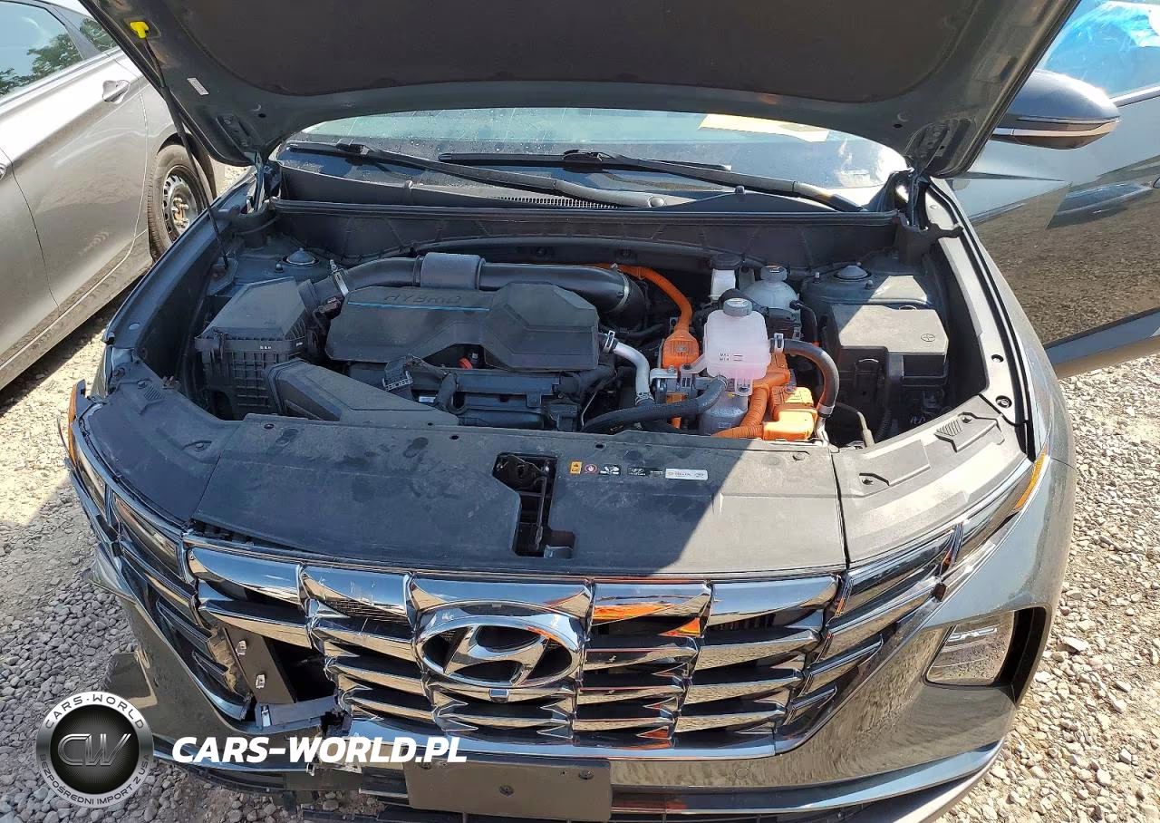 2024 Hyundai Tucson Limited VIN:KM8JECD12RU238766 - 12