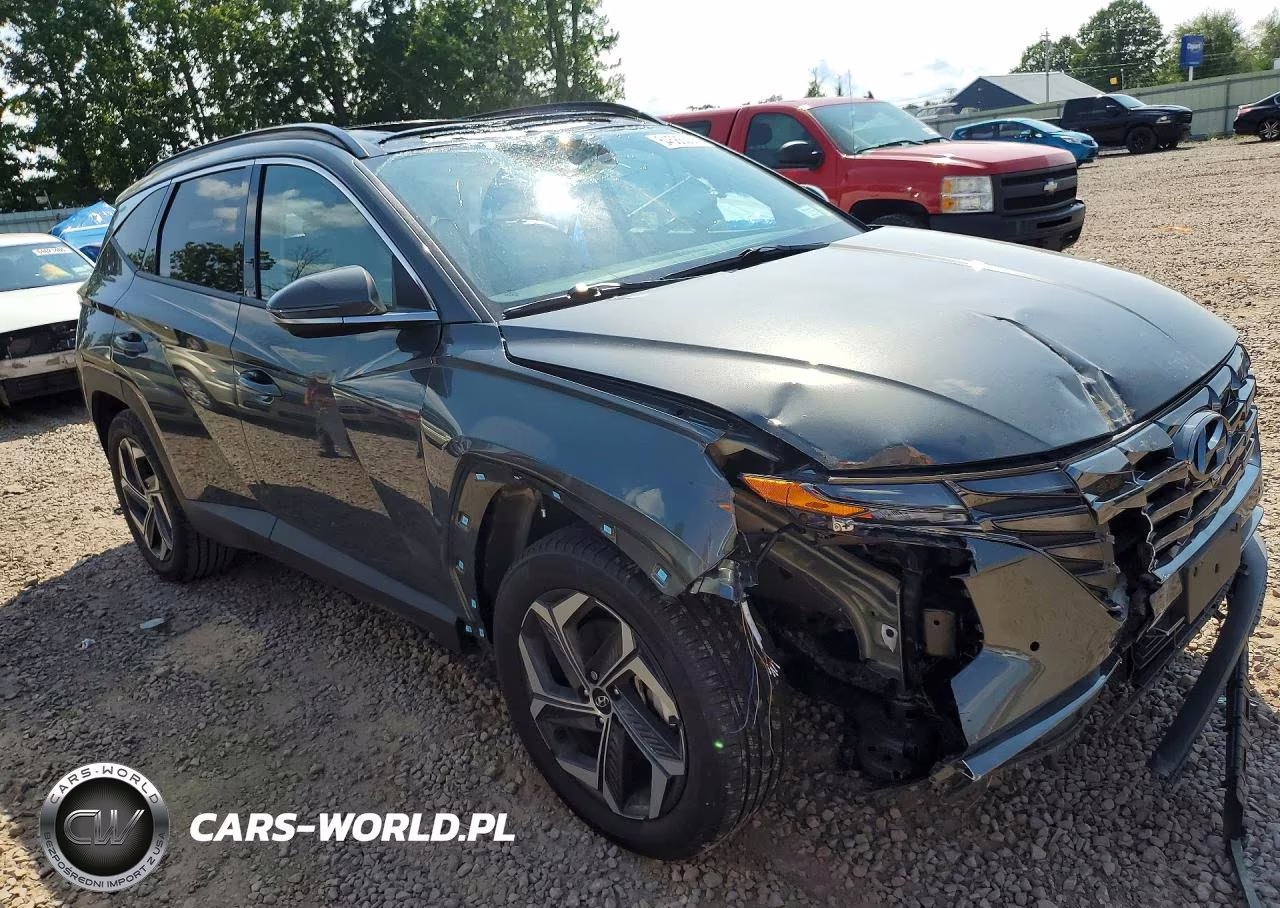 2024 Hyundai Tucson Limited VIN:KM8JECD12RU238766 - 4
