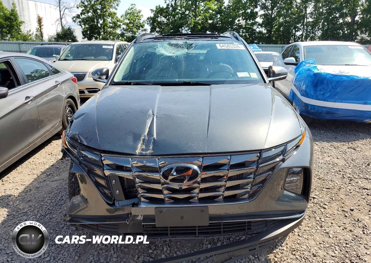 2024 Hyundai Tucson Limited VIN:KM8JECD12RU238766 - 5
