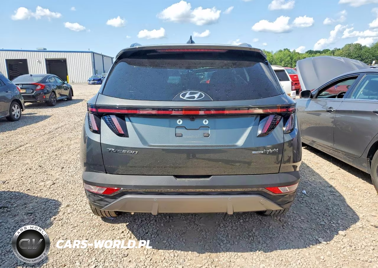 2024 Hyundai Tucson Limited VIN:KM8JECD12RU238766 - 6