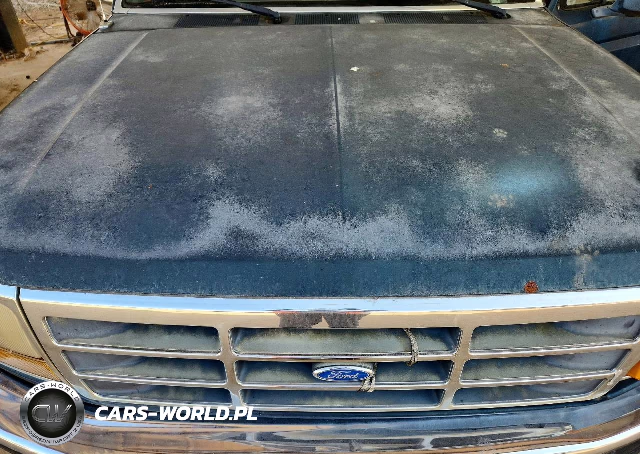 1995 Ford F150 VIN:1FTEF15NXSLB58099 - 11