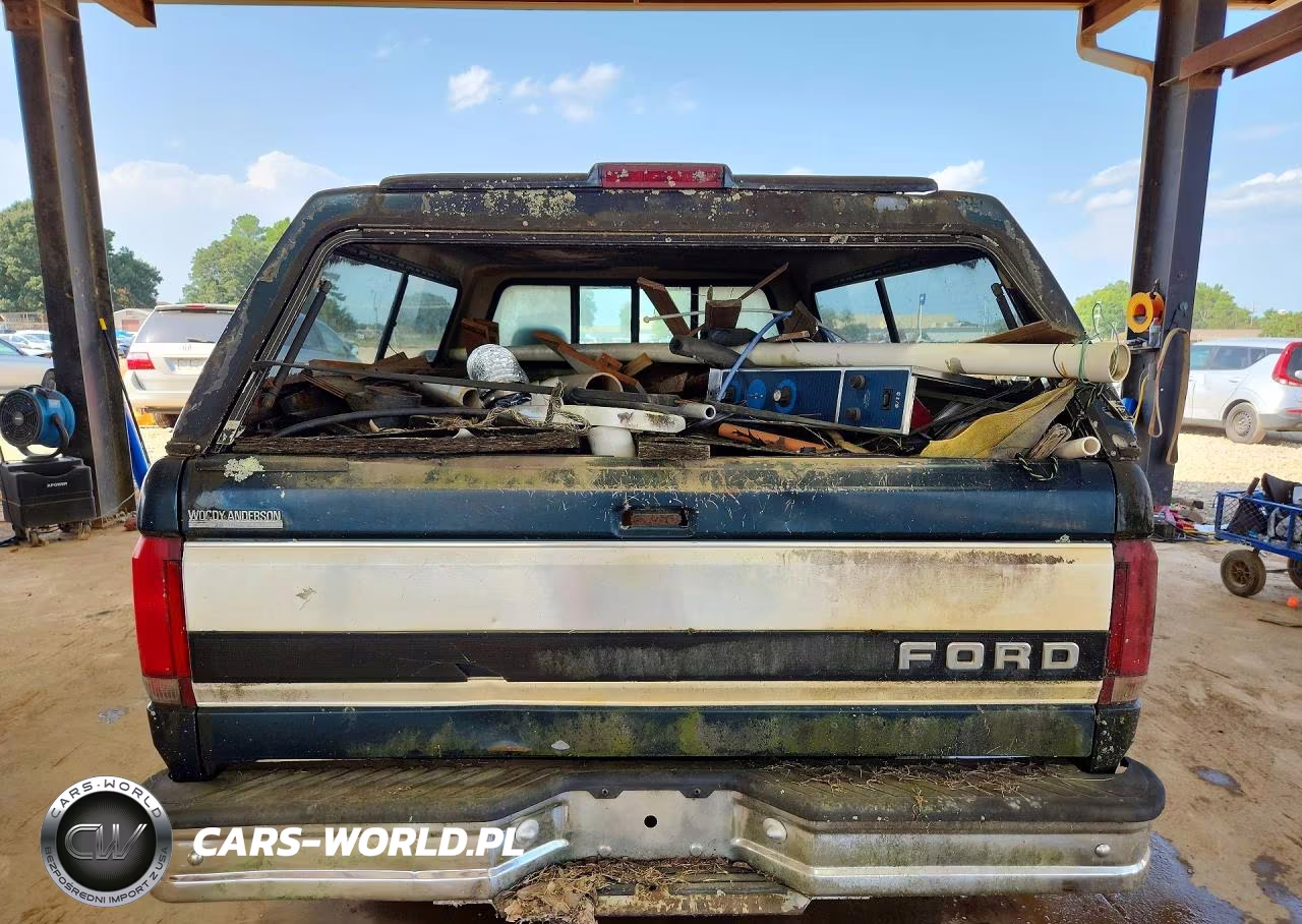 1995 Ford F150 VIN:1FTEF15NXSLB58099 - 6