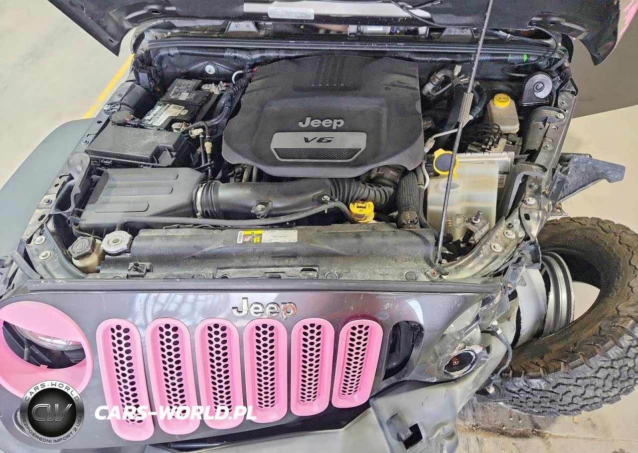 2016 Jeep Wrangler Unlimited Rubicon VIN:1C4HJWFG6GL254697 - 12