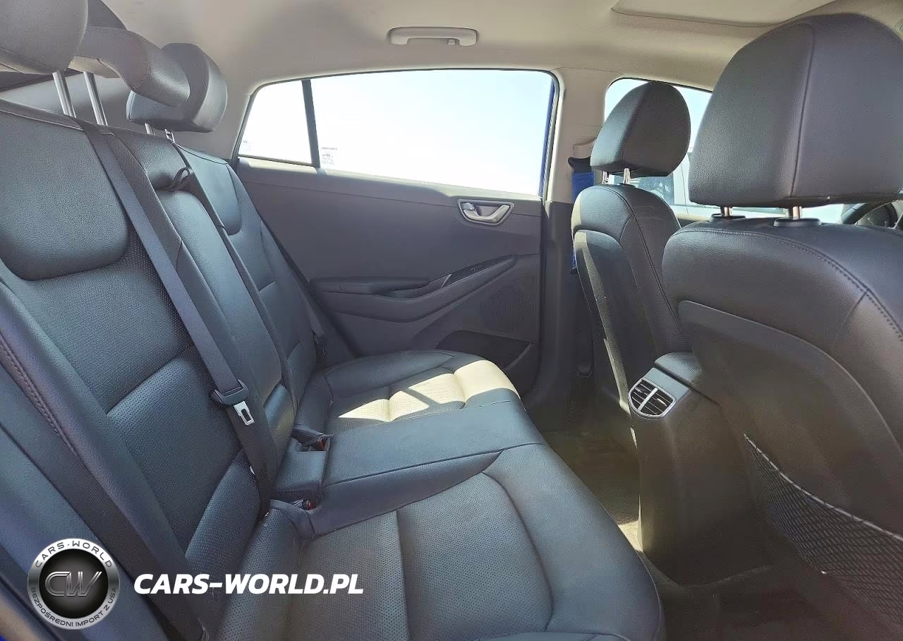 2020 Hyundai Ioniq Limited VIN:KMHC05LCXLU224045 - 10