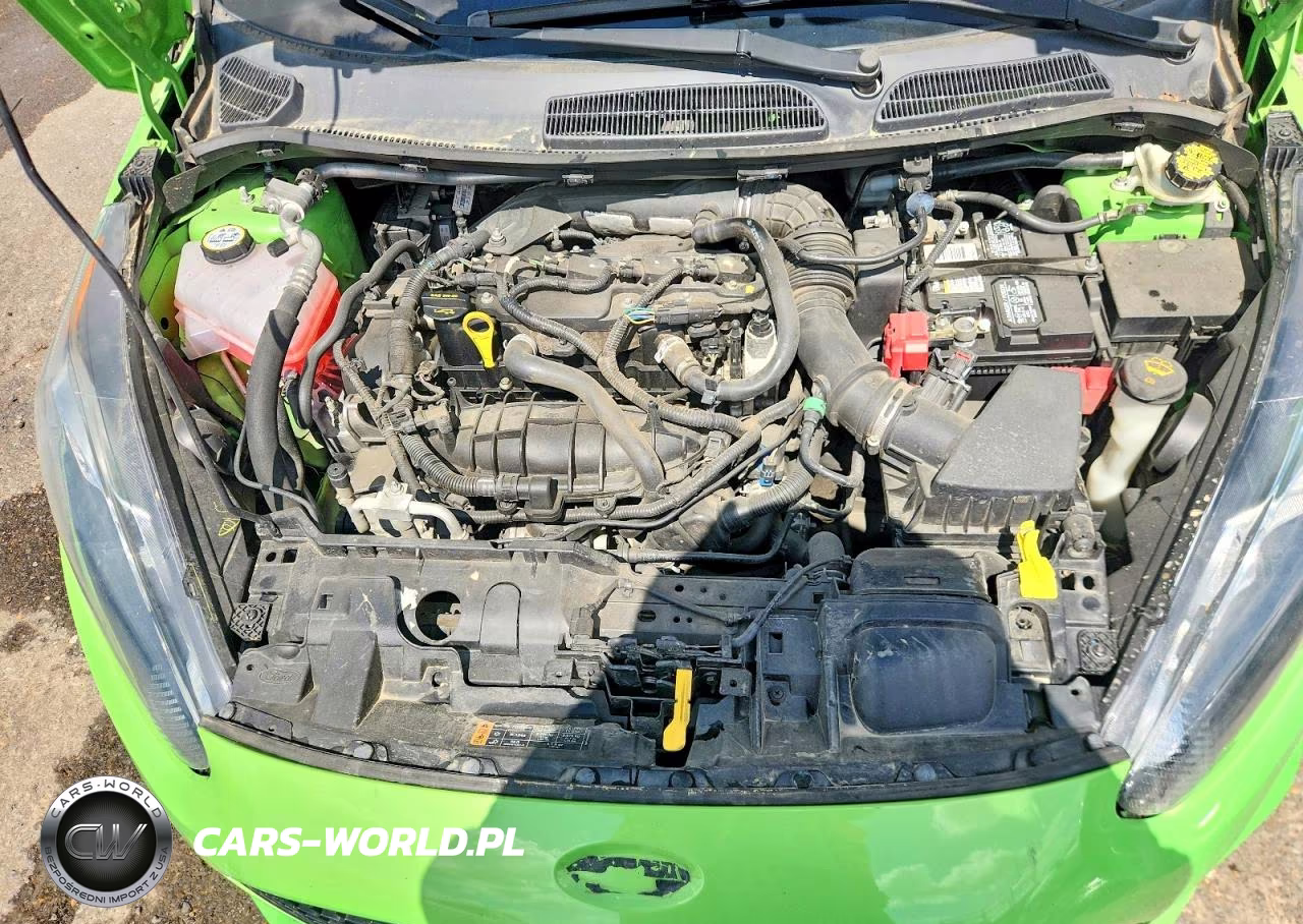 2014 Ford Fiesta St VIN:3FADP4GX4EM153370 - 11