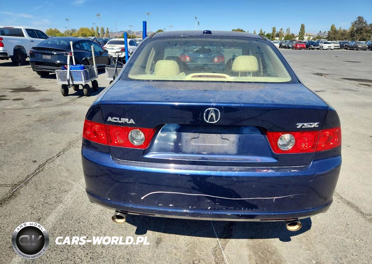 2008 Acura Tsx VIN:JH4CL96818C009613 - 6