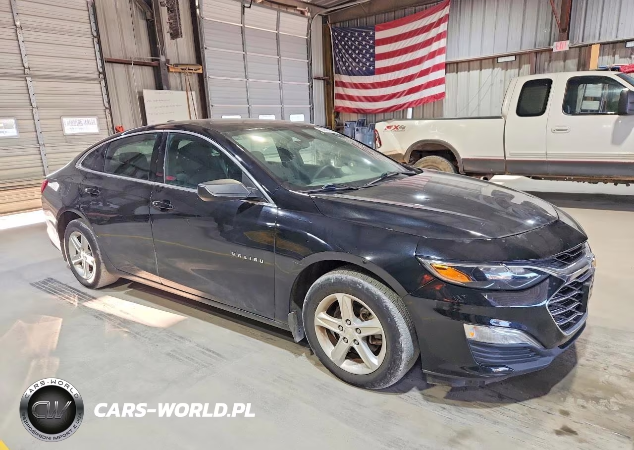2020 Chevrolet Malibu Ls VIN:1G1ZB5ST4LF010689 - 4