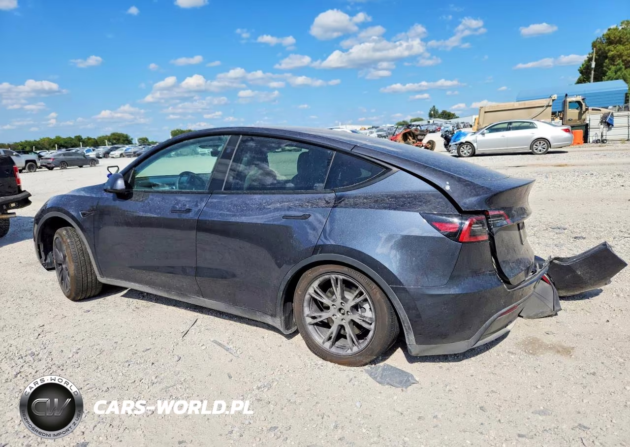 2025 Tesla Model Y VIN:7SAYGAEE3SF269478 - 2