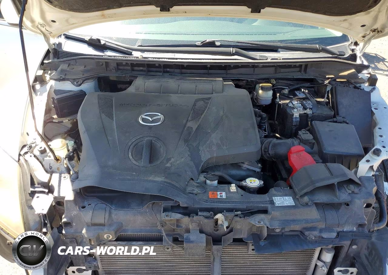 2010 Mazda Cx-7 VIN:JM3ER2WL8A0342460 - 12