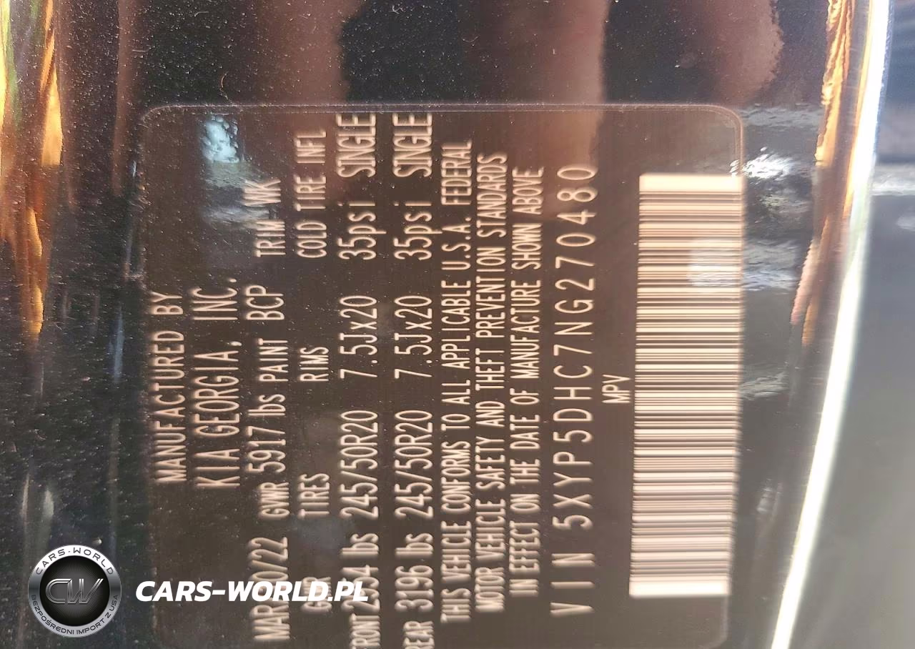 2022 Kia Telluride Sx VIN:5XYP5DHC7NG270480 - 12