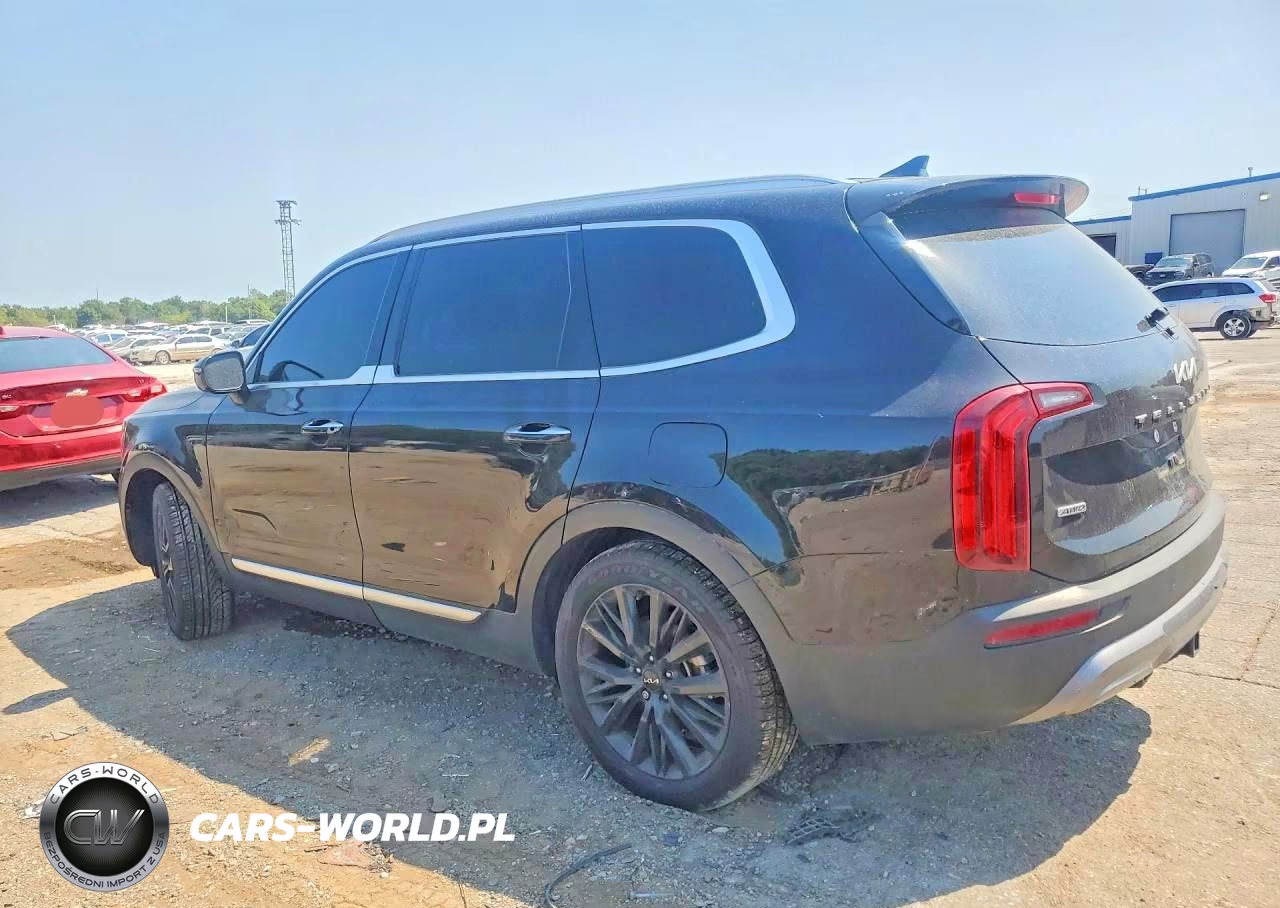 2022 Kia Telluride Sx VIN:5XYP5DHC7NG270480 - 2