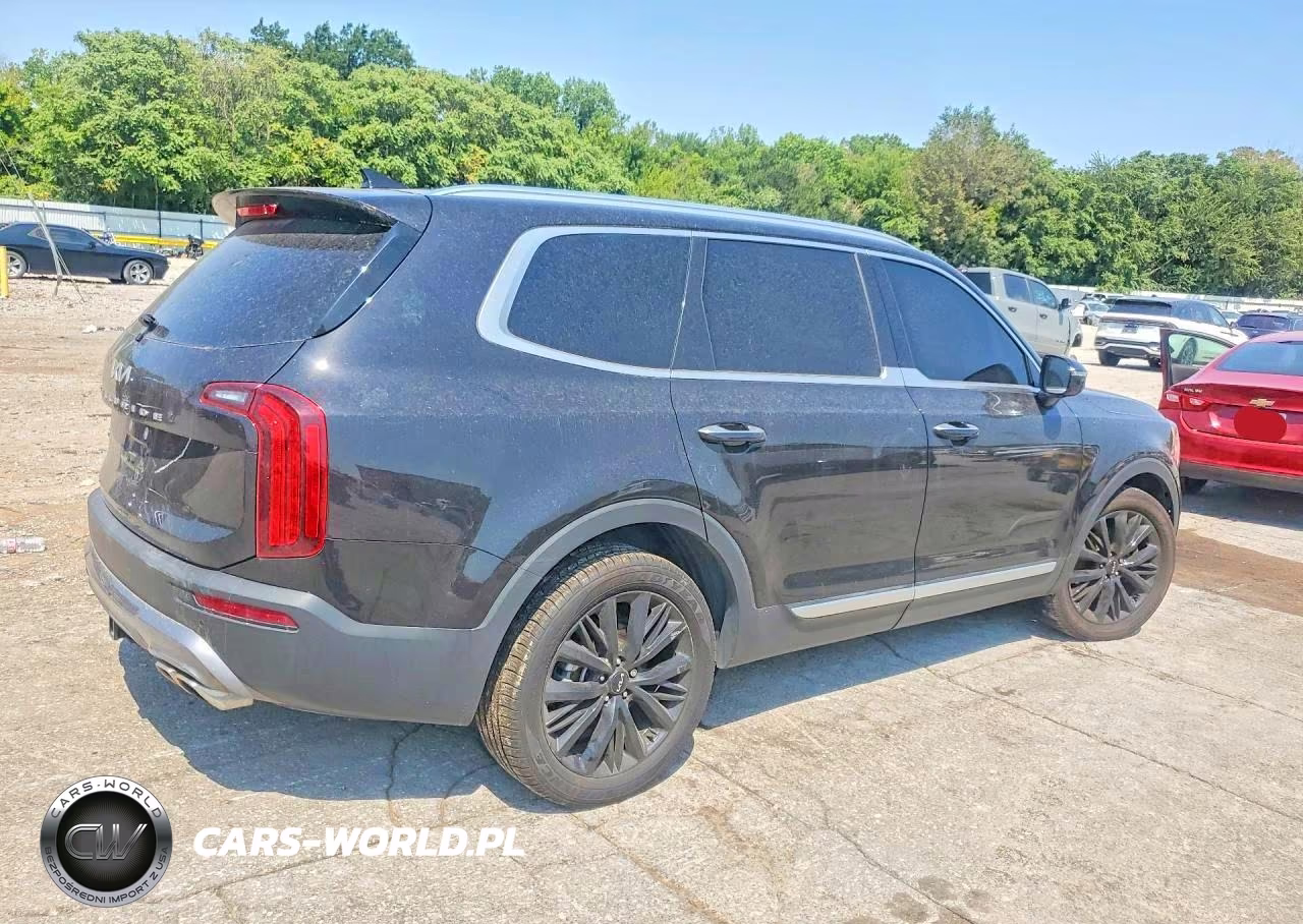 2022 Kia Telluride Sx VIN:5XYP5DHC7NG270480 - 3