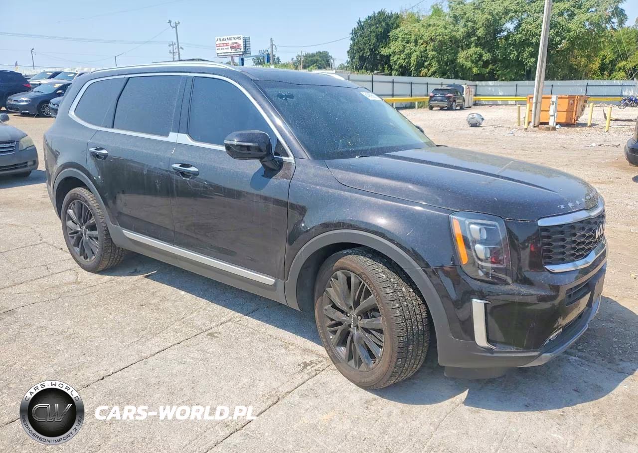 2022 Kia Telluride Sx VIN:5XYP5DHC7NG270480 - 4