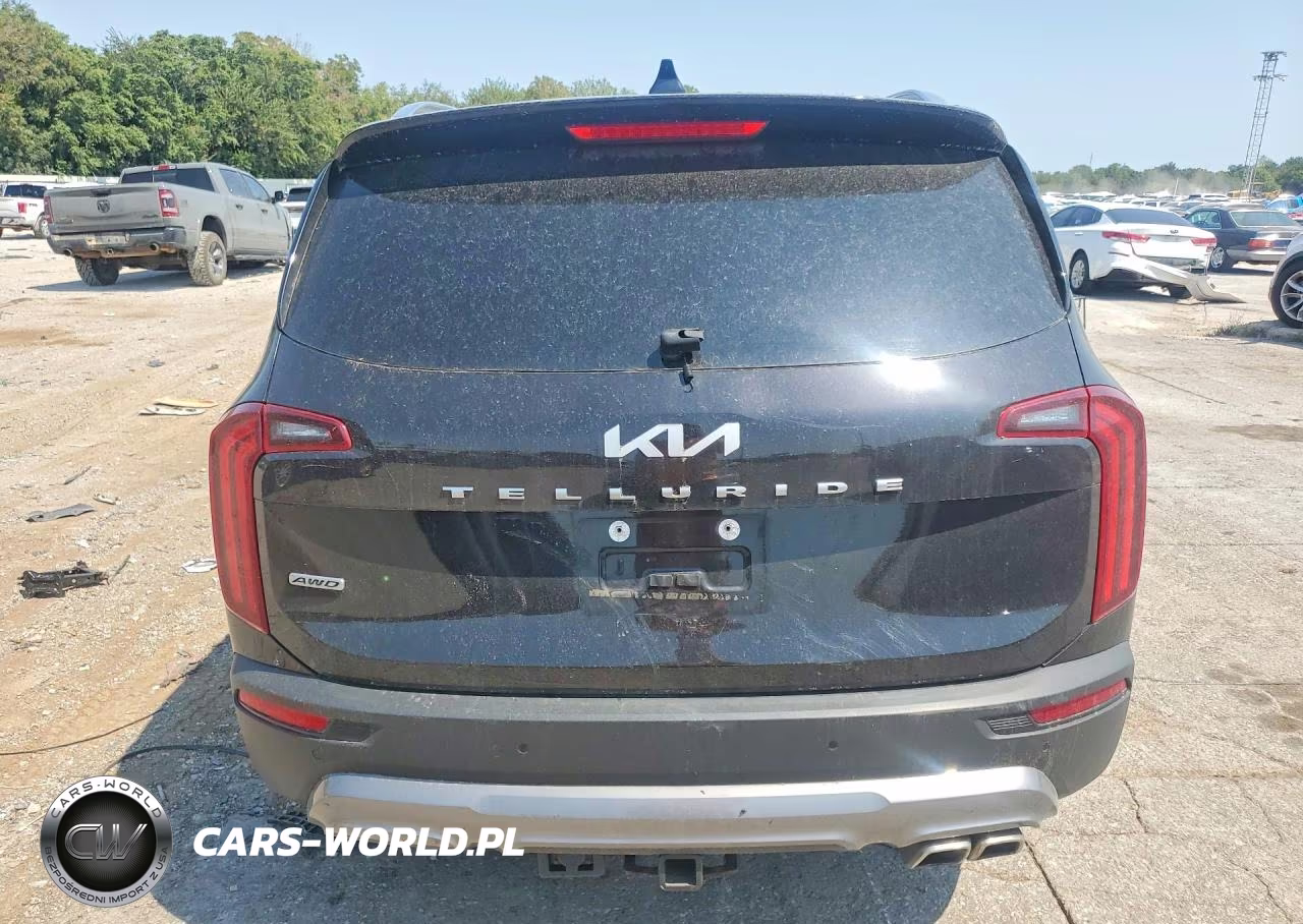 2022 Kia Telluride Sx VIN:5XYP5DHC7NG270480 - 6