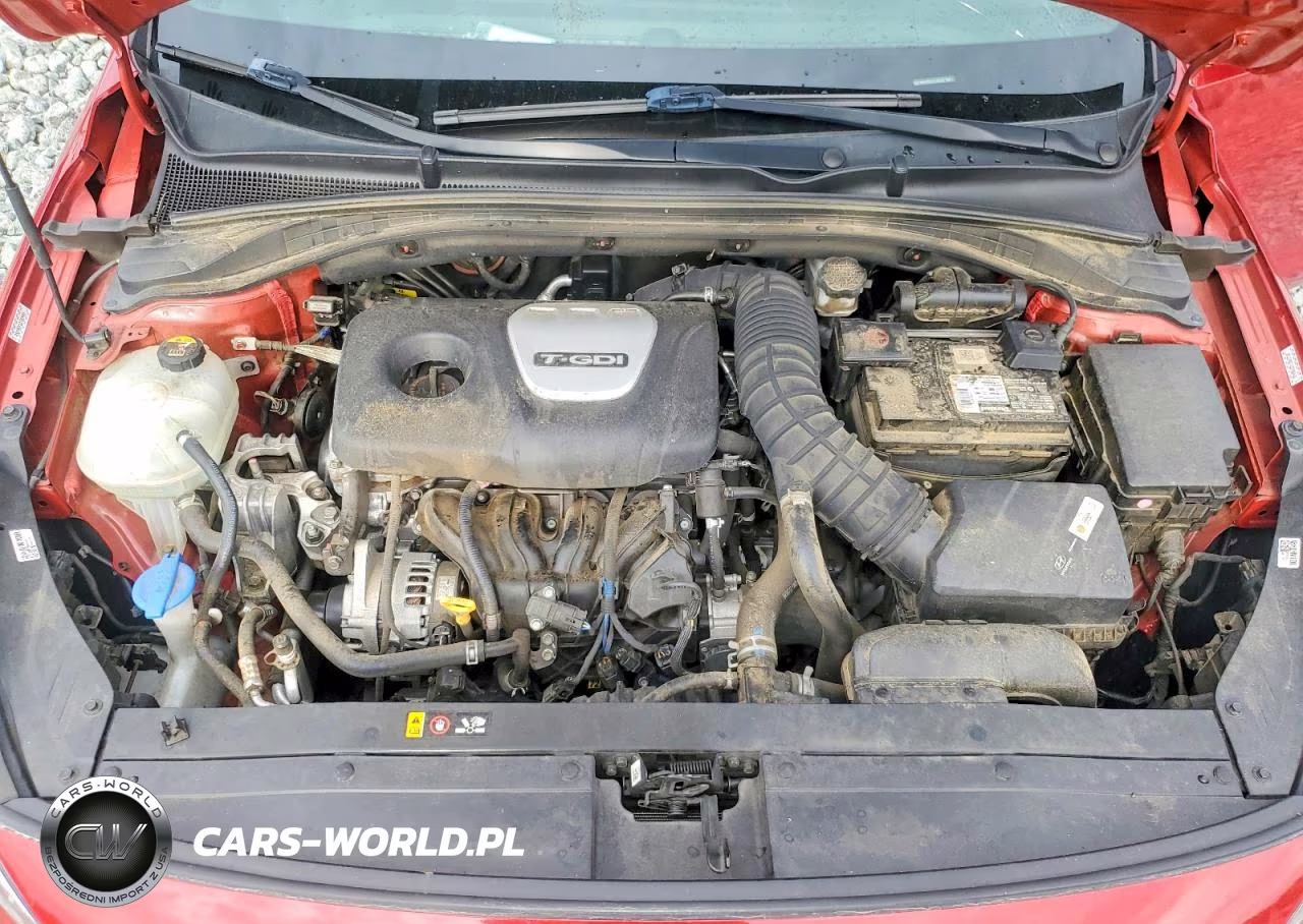 2018 Hyundai Elantra Gt Sport VIN:KMHH55LC7JU081768 - 12