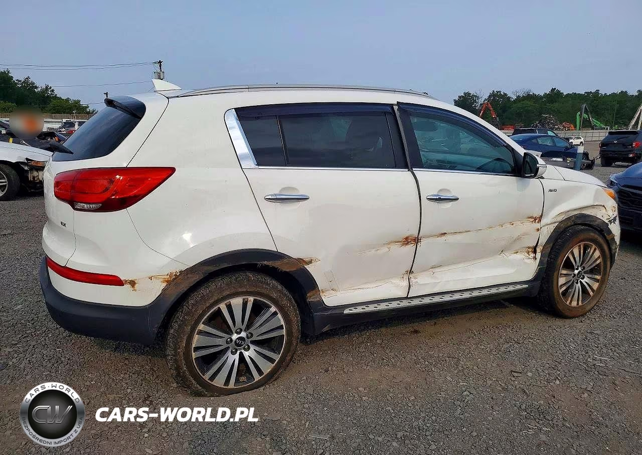 2016 Kia Sportage Ex VIN:KNDPCCAC1G7831542 - 3