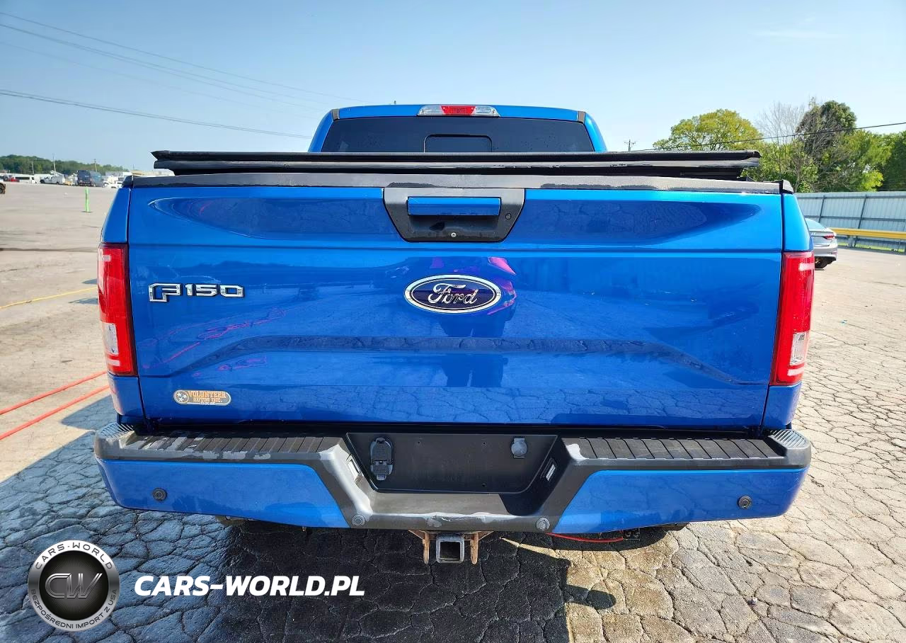 2016 Ford F150 Supercrew VIN:1FTEW1EG9GFA35921 - 6