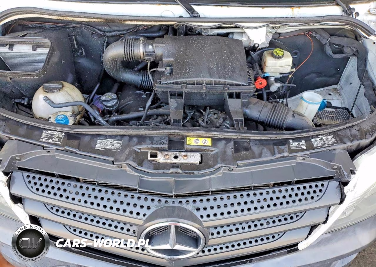 2017 Mercedes-Benz Sprinter 2500 VIN:WD3PE7CD9HP565528 - 12