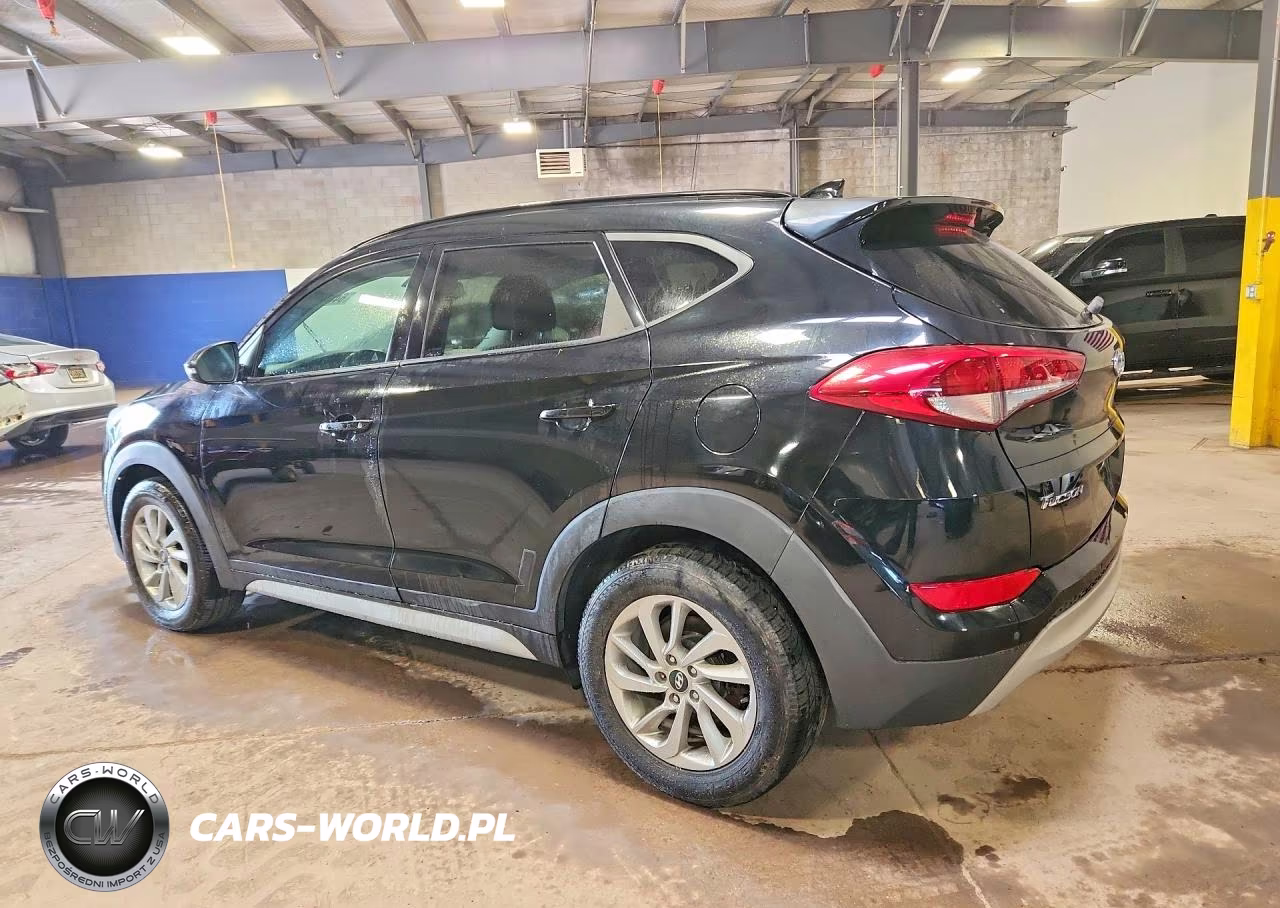 2018 Hyundai Tucson Value VIN:KM8J3CA28JU794393 - 2