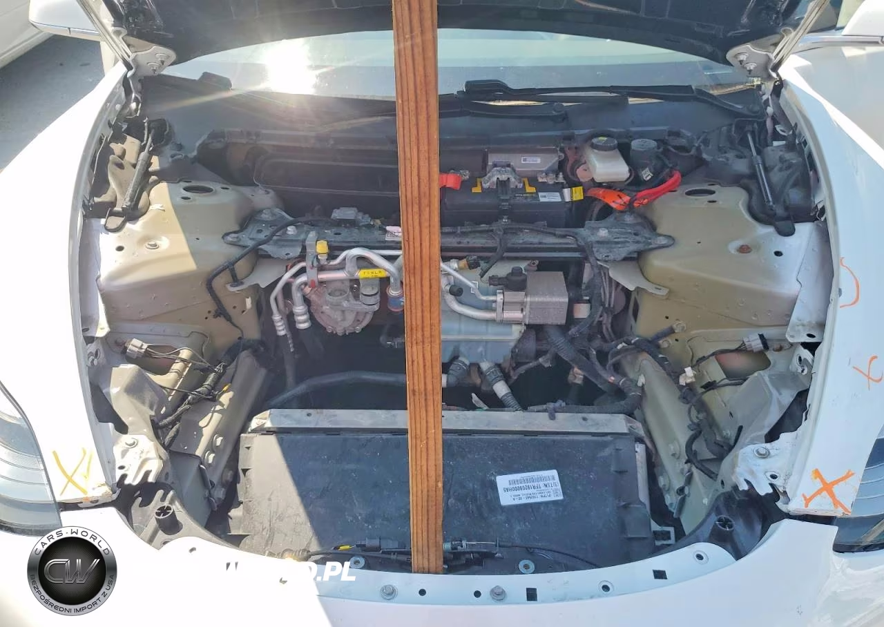 2019 Tesla Model 3 VIN:5YJ3E1EA0KF416009 - 11