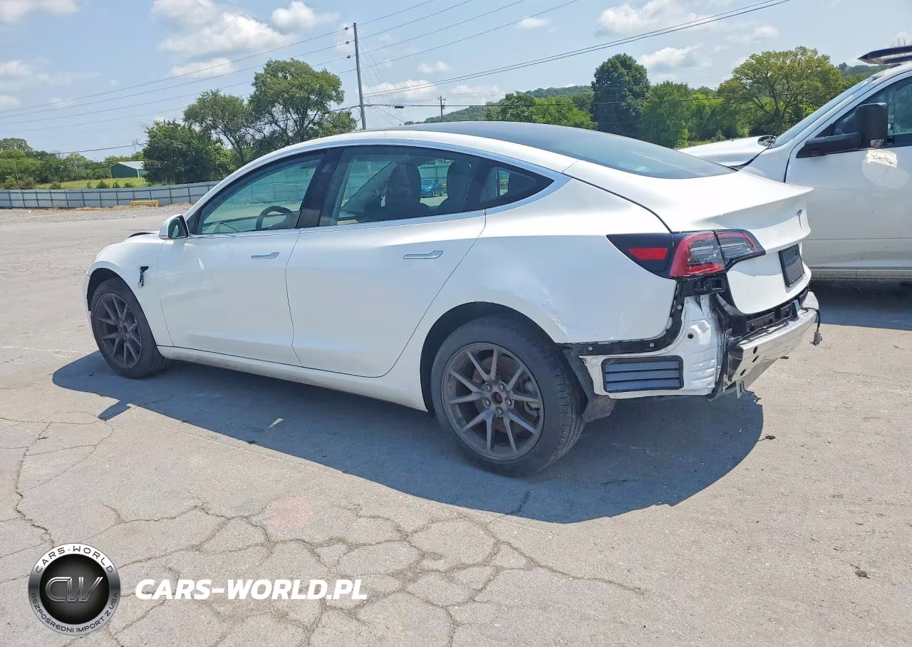 2019 Tesla Model 3 VIN:5YJ3E1EA0KF416009 - 2