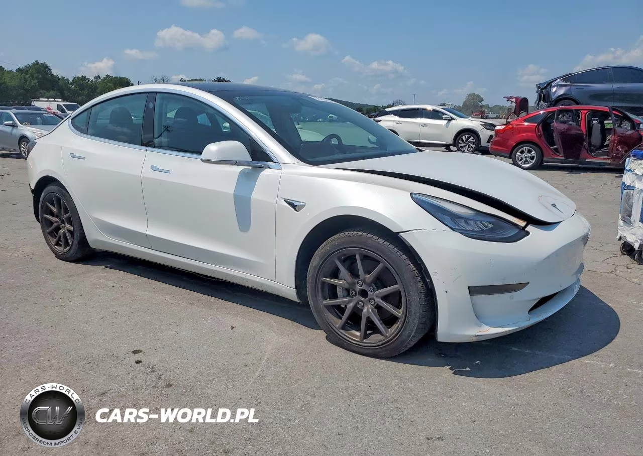 2019 Tesla Model 3 VIN:5YJ3E1EA0KF416009 - 4