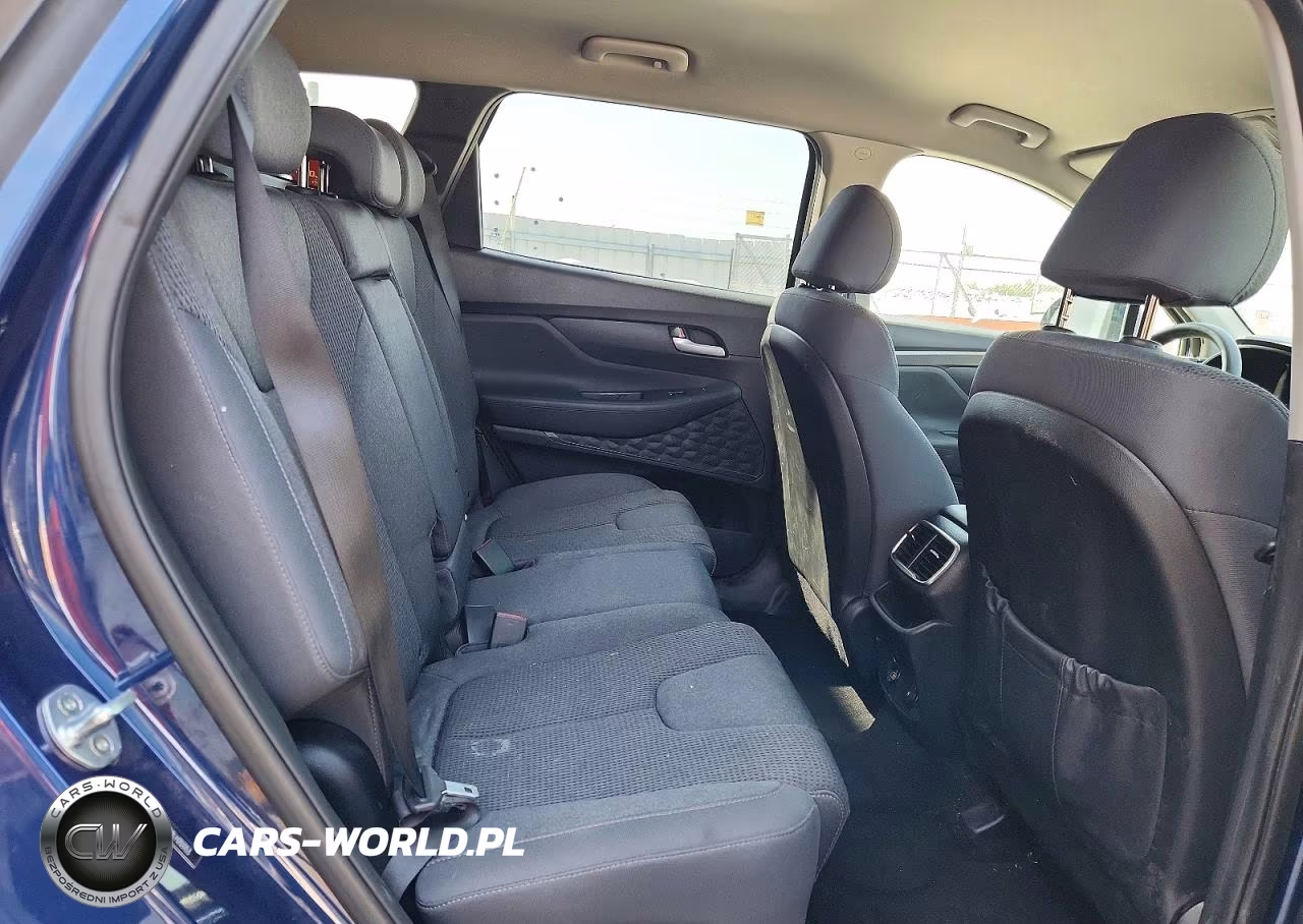 2020 Hyundai Santa Fe Sel VIN:5NMS3CAD9LH203153 - 11