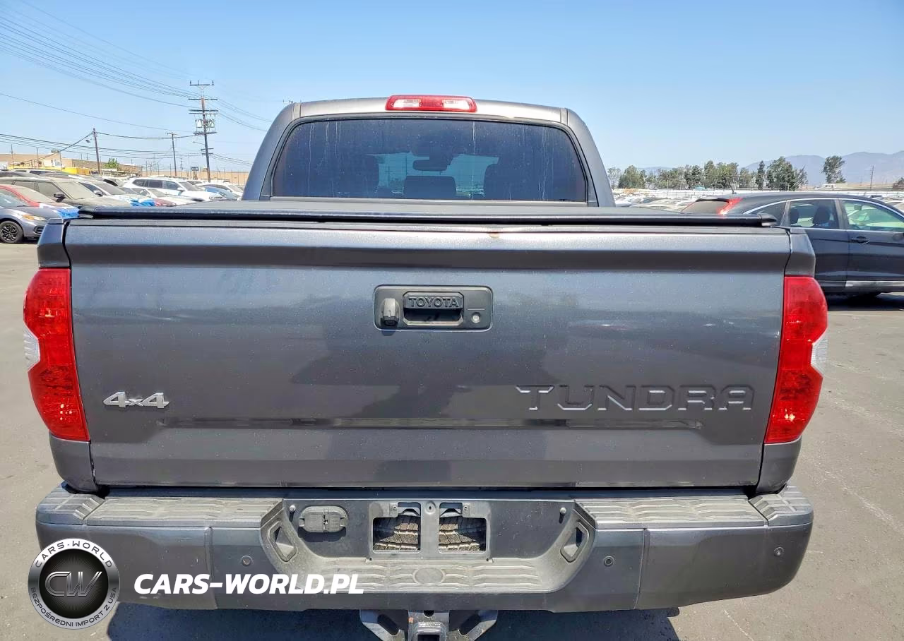 2018 Toyota Tundra Platinum VIN:5TFAY5F10JX727495 - 6