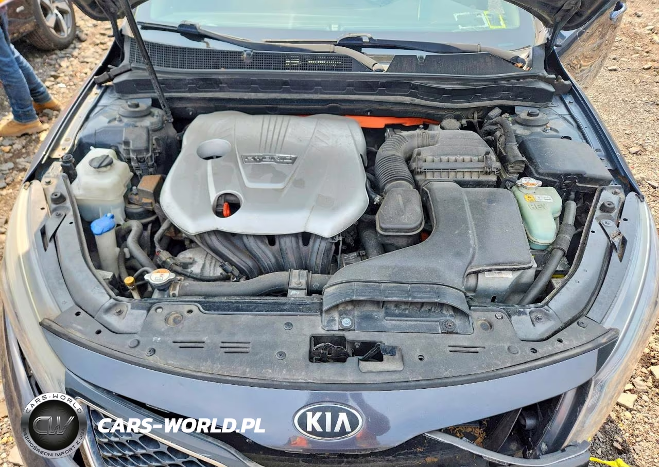 2015 Kia Optima Hybrid VIN:KNAGM4AD5F5077497 - 11