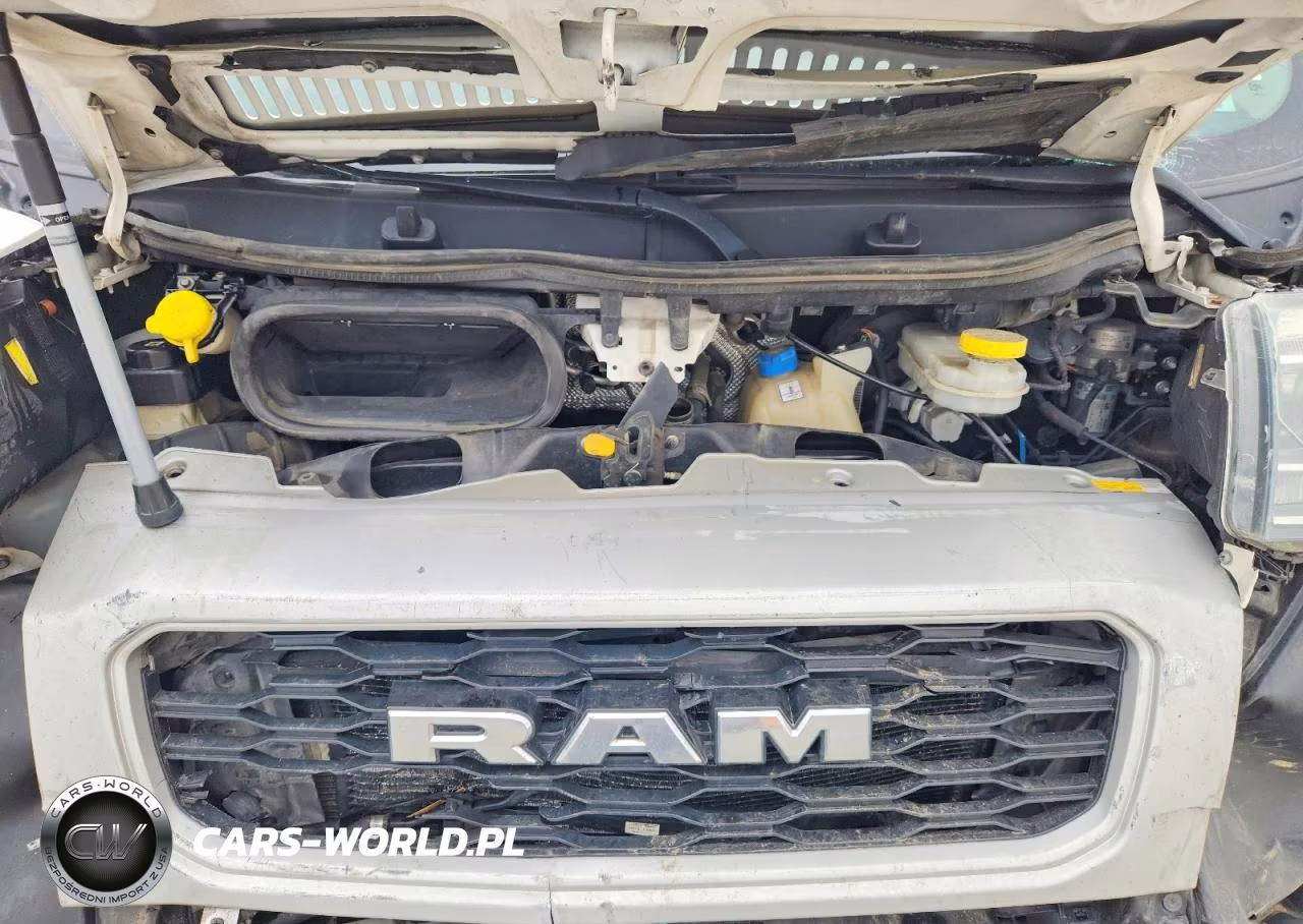 2019 Ram Promaster 1500 1500 High VIN:3C6TRVBG4KE556789 - 12