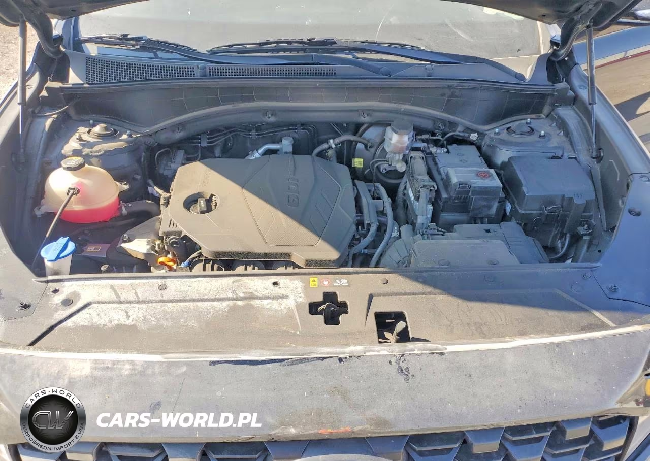 2023 Hyundai Santa Fe Xrt VIN:5NMS64AJ4PH490586 - 12