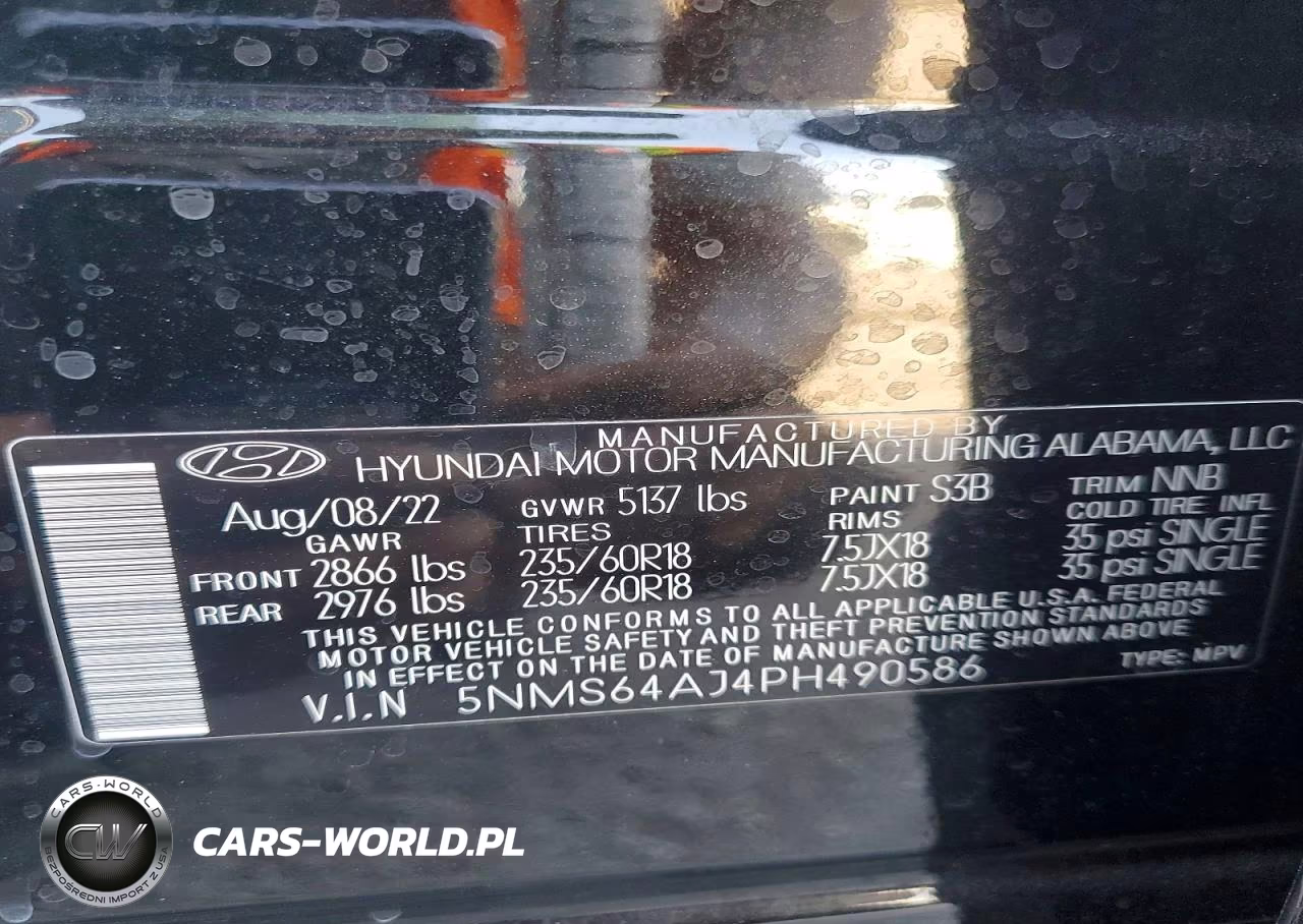 2023 Hyundai Santa Fe Xrt VIN:5NMS64AJ4PH490586 - 13