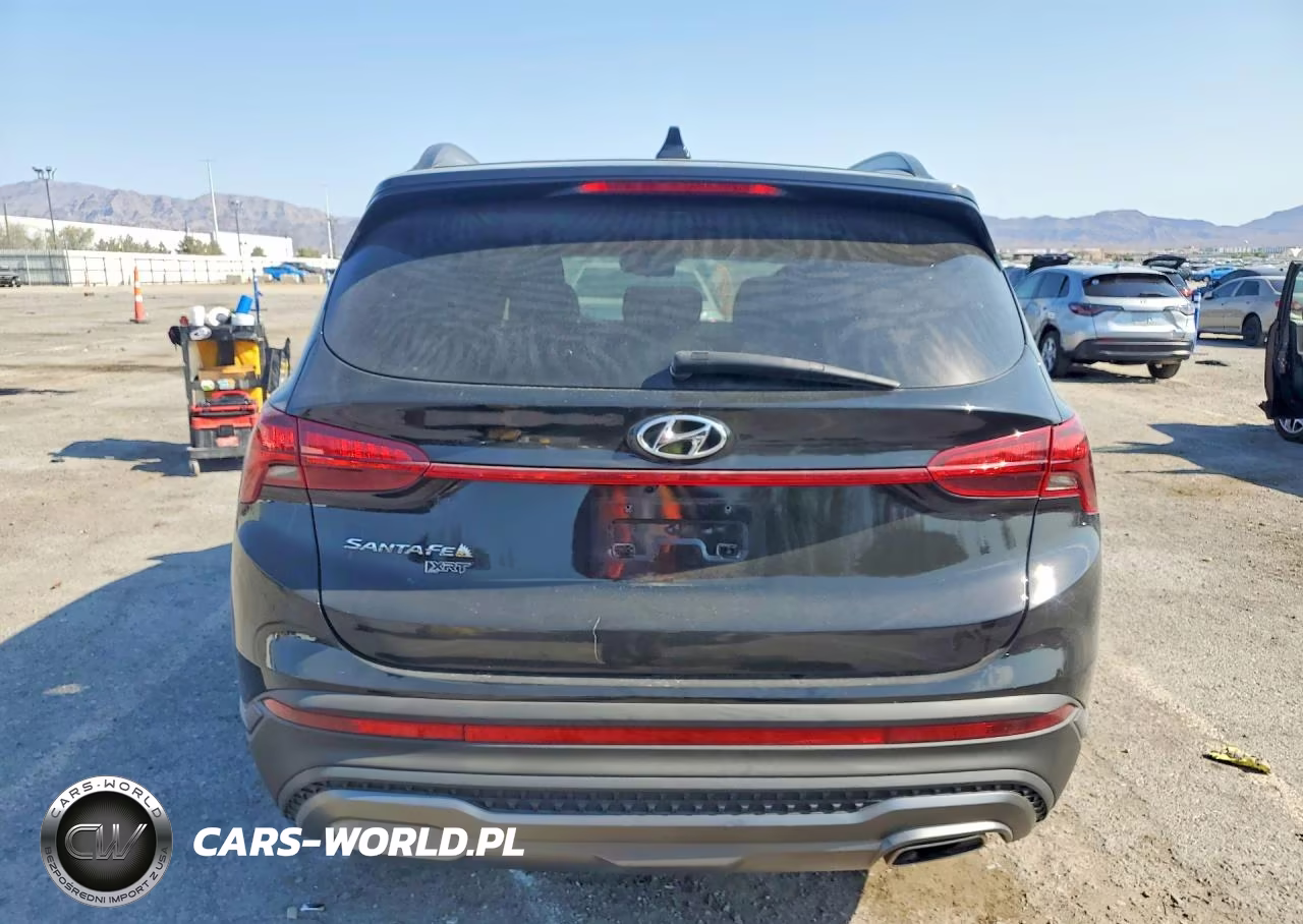 2023 Hyundai Santa Fe Xrt VIN:5NMS64AJ4PH490586 - 6