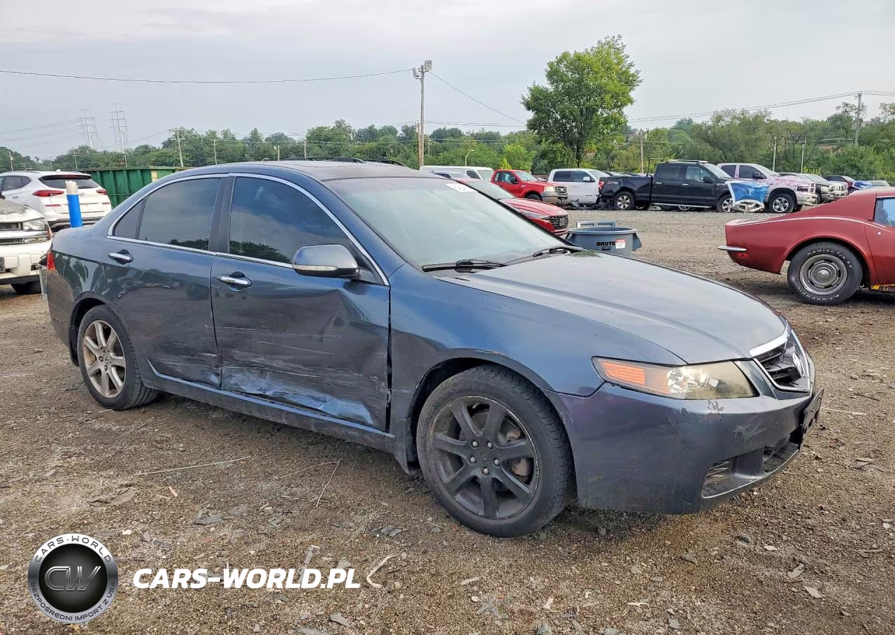 2005 Acura Tsx VIN:JH4CL96805C022686 - 4