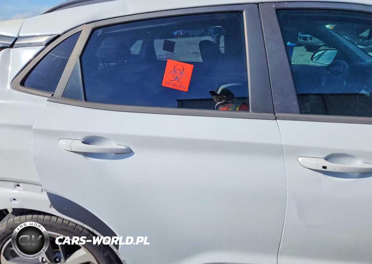 2019 Hyundai Kona Limited VIN:KM8K33A59KU228078 - 11