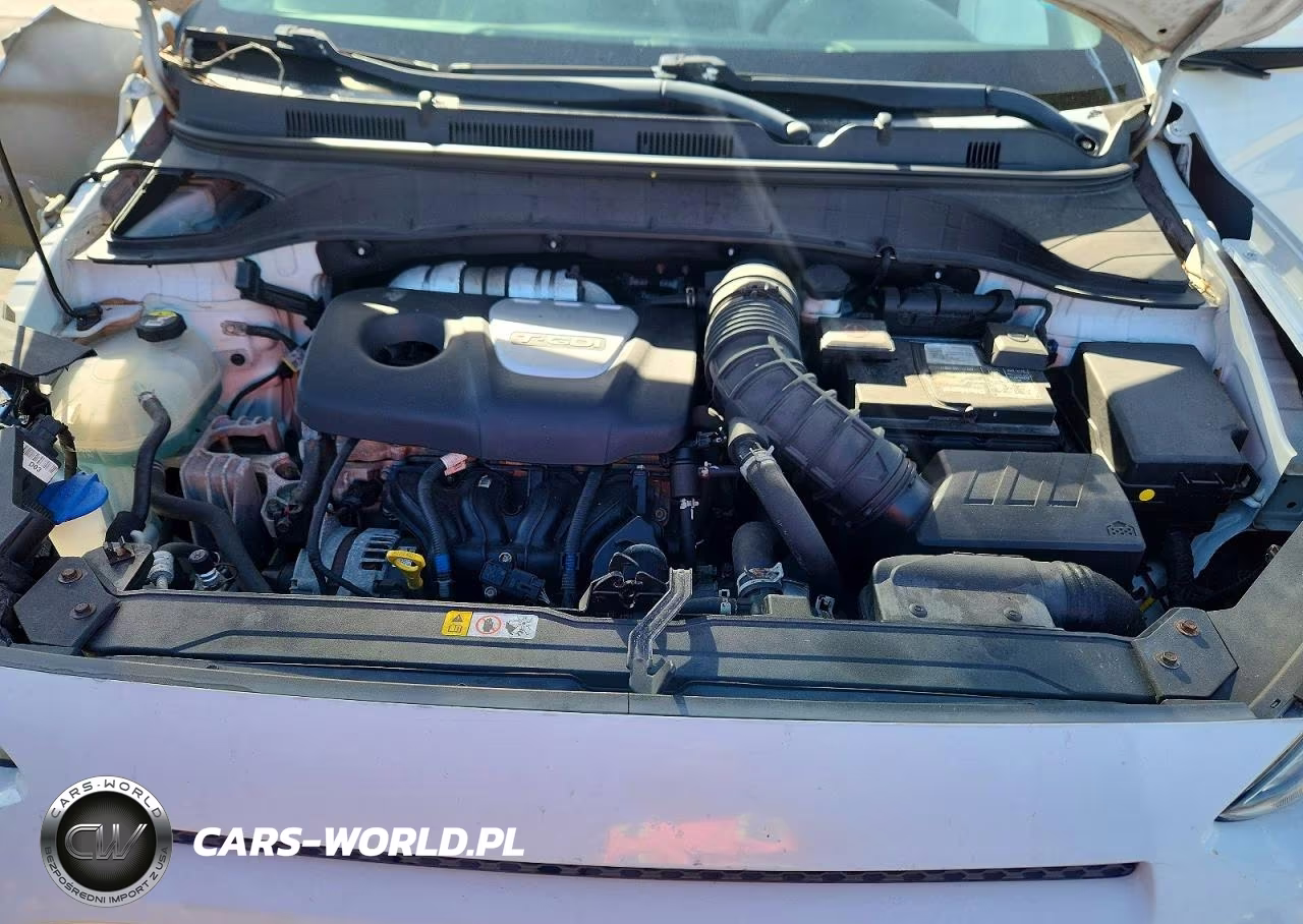 2019 Hyundai Kona Limited VIN:KM8K33A59KU228078 - 12