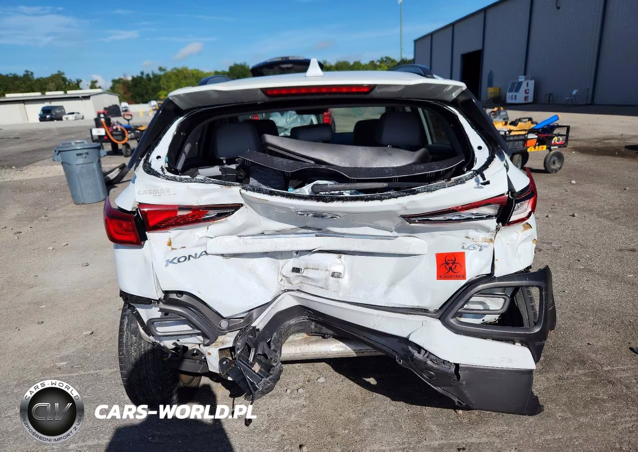 2019 Hyundai Kona Limited VIN:KM8K33A59KU228078 - 6