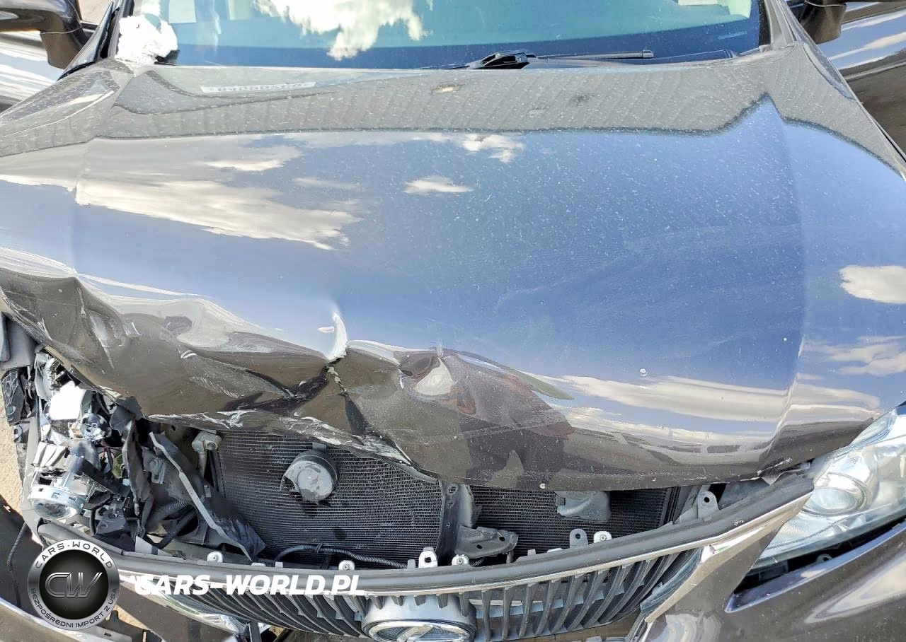 2010 Lexus Rx 350 VIN:2T2ZK1BA1AC029183 - 12