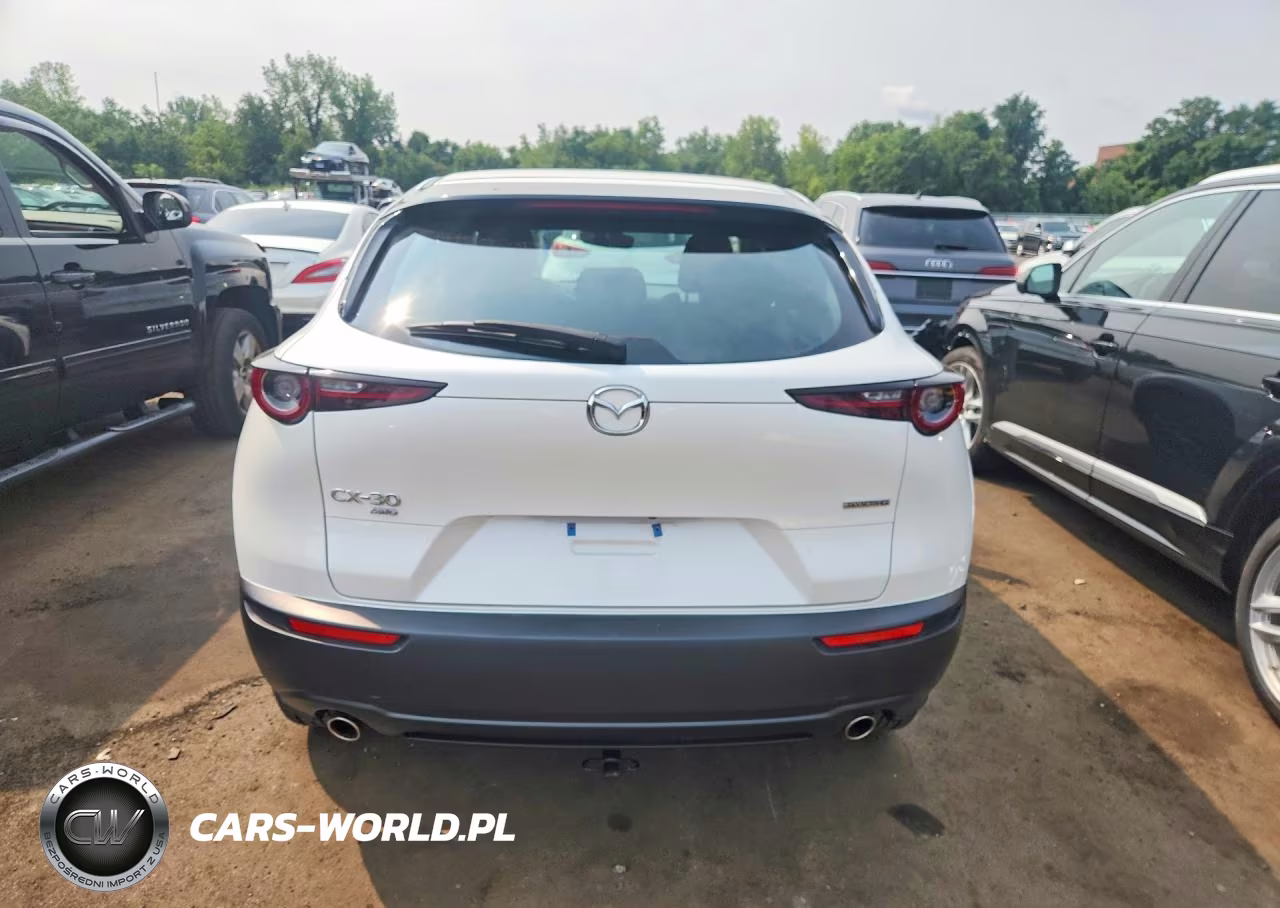 2023 Mazda Cx-30 VIN:3MVDMBAM6PM511480 - 6