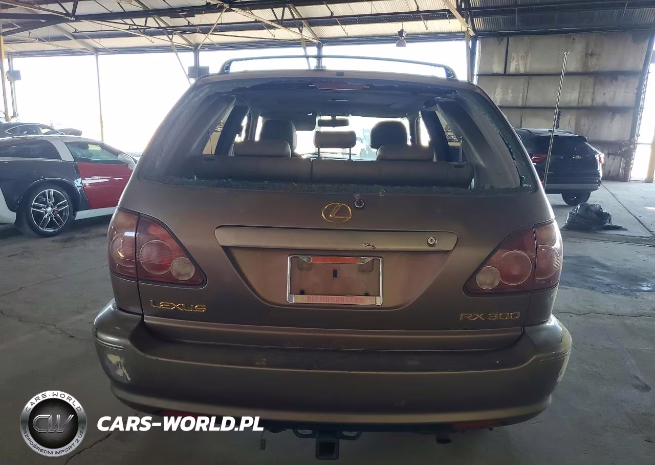 1999 Lexus Rx 300 VIN:JT6GF10U1X0039316 - 6