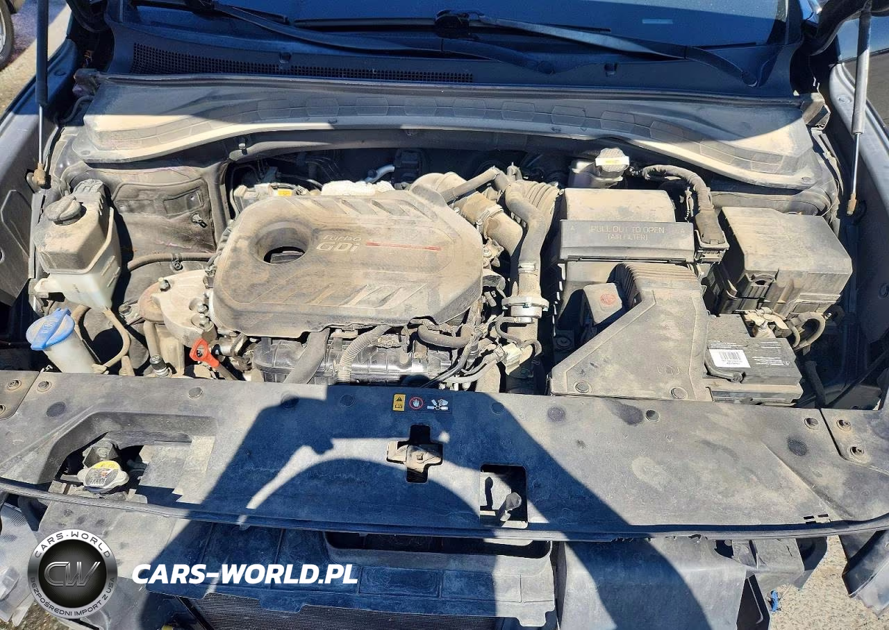 2019 Hyundai Santa Fe Ultimate 2.0T VIN:5NMS53AA9KH048781 - 12
