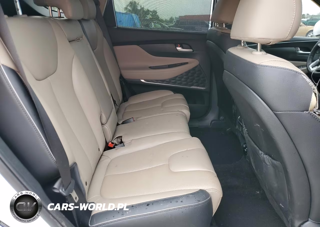 2021 Hyundai Santa Fe Limited VIN:5NMS44AL9MH347913 - 10