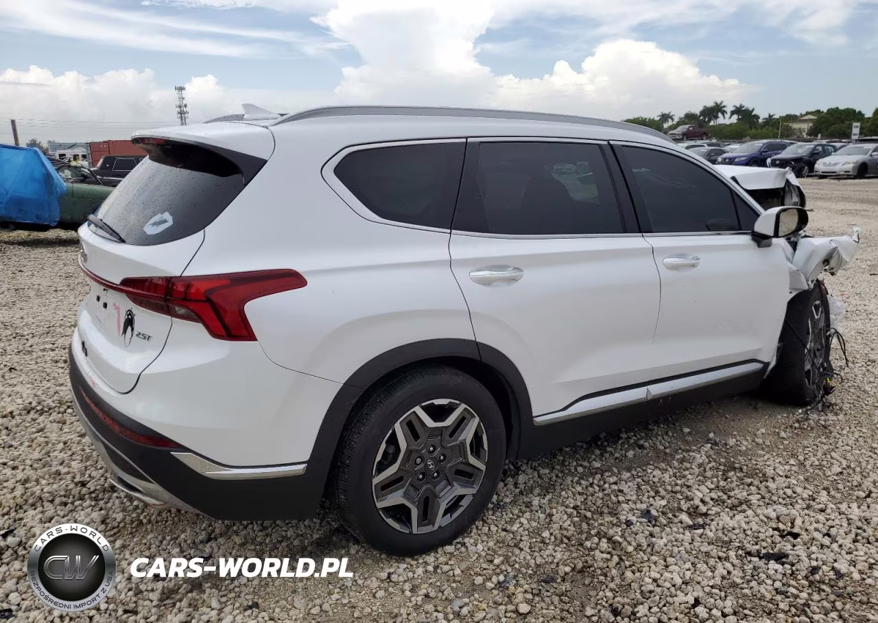 2021 Hyundai Santa Fe Limited VIN:5NMS44AL9MH347913 - 3