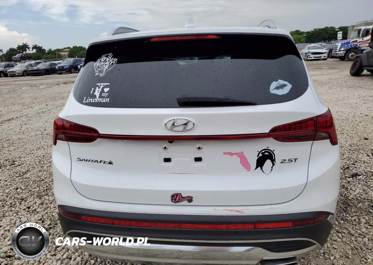 2021 Hyundai Santa Fe Limited VIN:5NMS44AL9MH347913 - 6