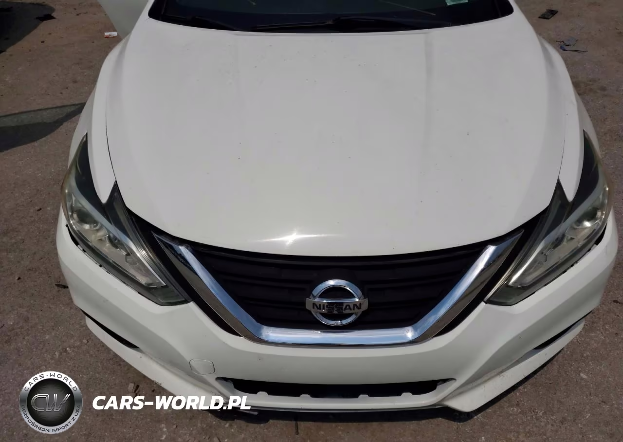 2016 Nissan Altima VIN:1N4AL3AP4GC149485 - 11
