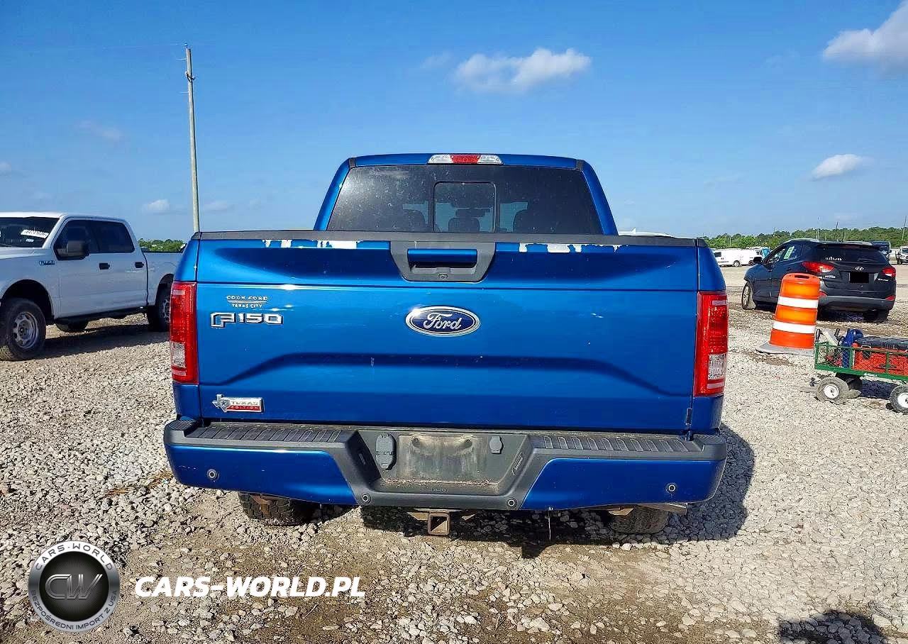 2017 Ford F150 Supercrew VIN:1FTEW1CG8HKD40676 - 6
