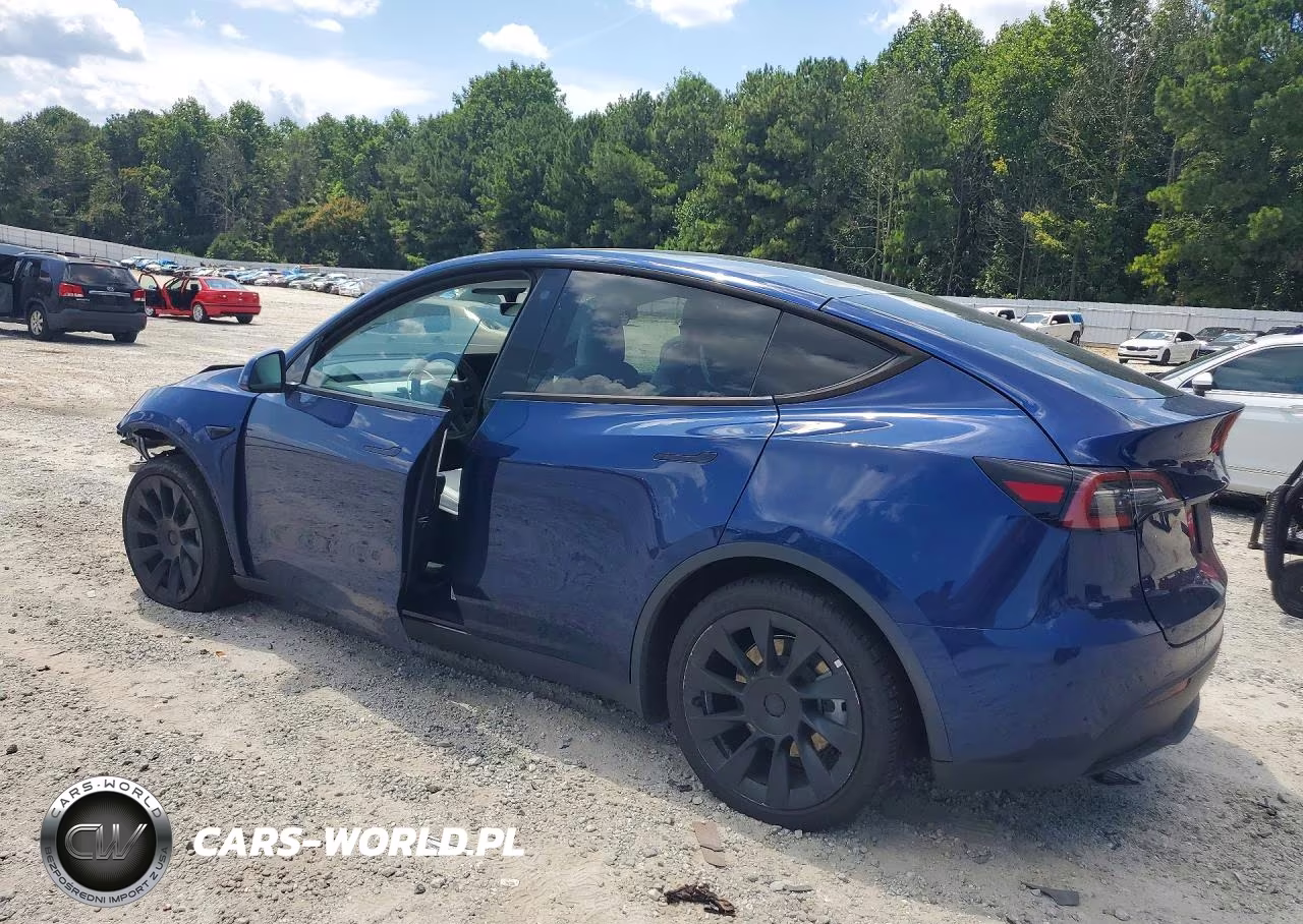 2022 Tesla Model Y VIN:7SAYGDEE3NF400642 - 2